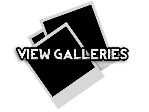 View Galleries